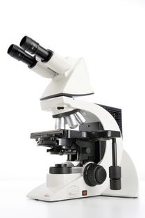 dm500生物显微镜光学仪器