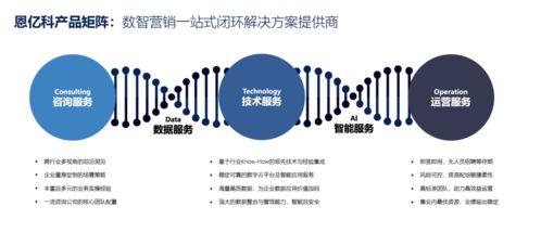 营销数字化转型 具有咨询能力的厂商,才能真正激发产品 技术的价值